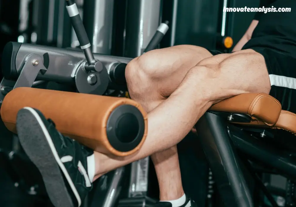 The Ultimate Guide to Choosing the Best Leg Extension Weight Bench